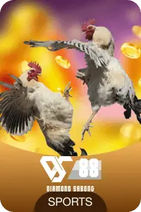 SSBET77 Basketball Sports Betting